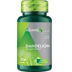 Dandelion Extract 370 mg, 30 Capsule, Adams