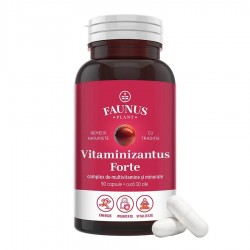 Vitaminizantus Forte - Capsule cu multivitamine și minerale,Flacon 90 capsule. Faunus Plant