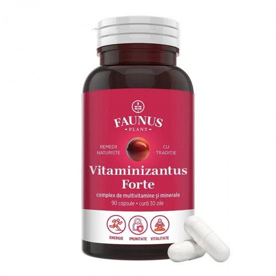 Vitaminizantus Forte - Capsule cu multivitamine și minerale,Flacon 90 capsule. Faunus Plant
