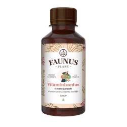 Sirop cu miere si propolis Vitaminizantus, 200 ml - Faunus Plant