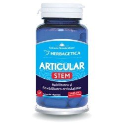 Articular Stem, 30 capsule - Herbagetica