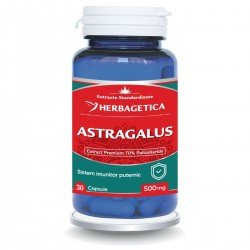 Astragalus, 500 mg, 30 capsule - Herbagetica