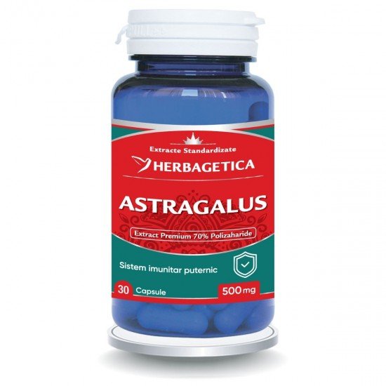 Astragalus, 500 mg, 30 capsule - Herbagetica