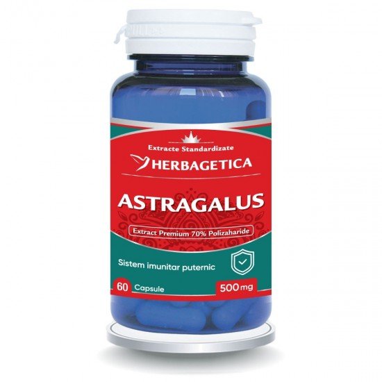 Astragalus 500 mg, 60 capsule - Herbagetica