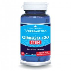 Ginkgo 120 Stem, 30 capsule - Herbagetica