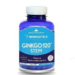 Ginkgo 120 Stem, 120 capsule - Herbagetic