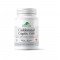 Goldenseal Coptis C. Forte 1000, 90 caps, PROVITA-NUTRITION Goldenseal Coptis C. Forte 1000, 90 caps, PROVITA-NUTRITION
