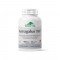 Astragalus 9000 Forte, antitumoral, imunostimulator, 60 capsule , PROVITA-NUTRITION Astragalus 9000 Forte, antitumoral, imunostimulator, 60 capsule , PROVITA-NUTRITION