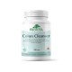 Colon Cleanser, 100 capsule pentru curatarea colonului, PROVITA-NUTRITION