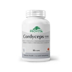Cordyceps Forte, 90 caps, PROVITA-NUTRITION