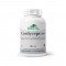 Cordyceps Forte, 90 caps, PROVITA-NUTRITION