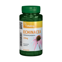 Echinacea 250 mg, 90 caps, Vitaking
