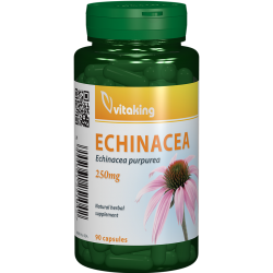 Echinacea 250 mg, 90 caps, Vitaking