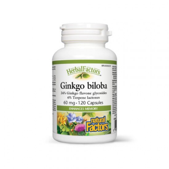 Ginkgo Biloba, 120 capsule - Natural Factors