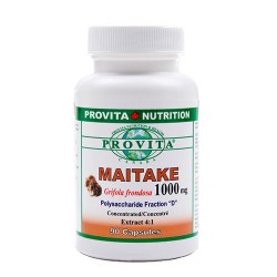 Maitake forte – 1000 mg, 90 caps, PROVITA-NUTRITION