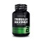 Tribulus Maximus, 90 tab, Biotech Tribulus Maximus, 90 tab, Biotech